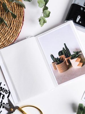 Art of Instagram Photography