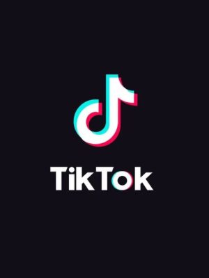 TikTok Marketing Course 2023 | Get 10k, 100k, 1M+ Views
